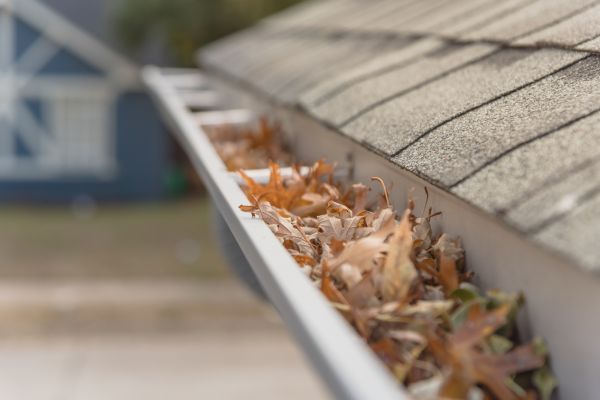 Leaf Barrier Installation in Seattle